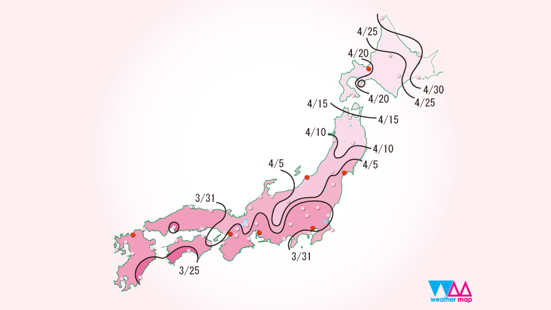 Sakura- Hanami en Japón: Fecha Floración  Cerezos 2023 - Foro Japón y Corea